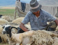Aventures mongoles : L'hiver entre ville et désert