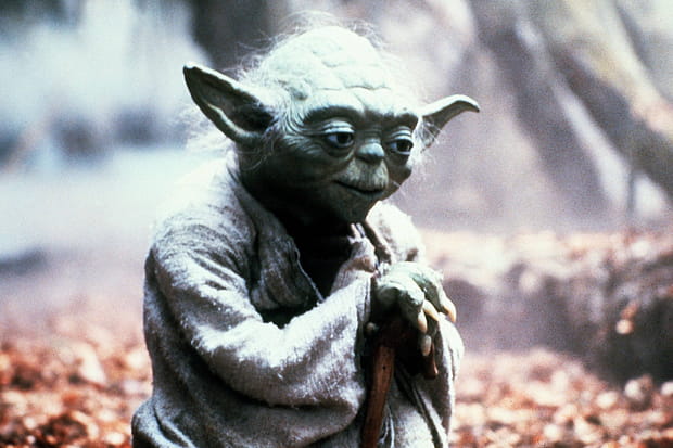 Le Maitre Yoda
