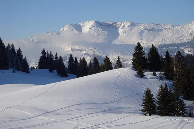 Vaste étendue neigeuse