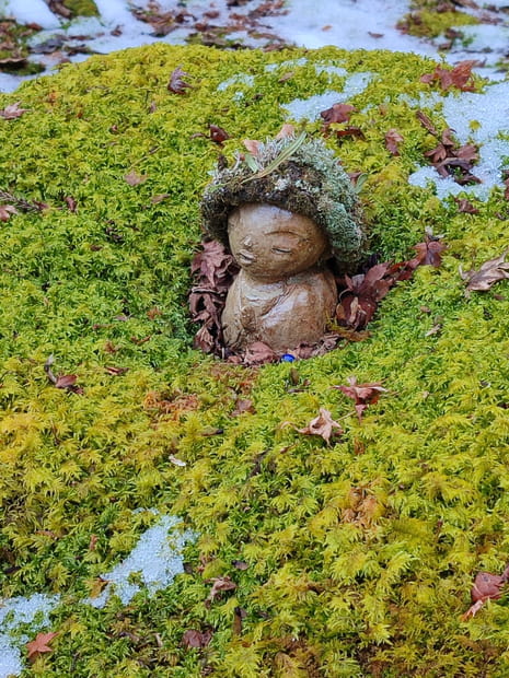 Temple Ohara Sanzen-in (2/2) : un air de Miyazaki