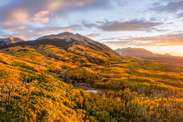 Kebler Pass, l'une des plus grandes forêts de trembles au monde