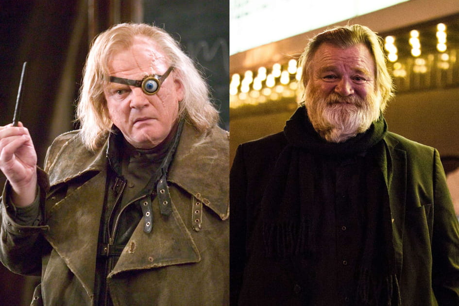 Brendan Gleeson, une carri&egrave;re r&eacute;ussie