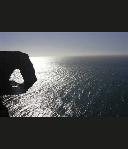 Arche
