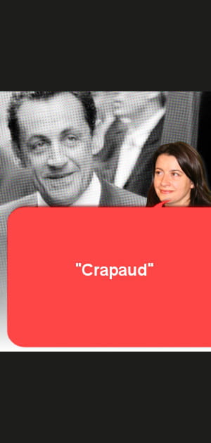 Nicolas Sarkozy chang&eacute; en &quot;crapaud&quot;