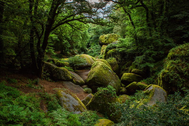 Encore plus mystérieuse que Brocéliande, la forêt de Huelgoat !