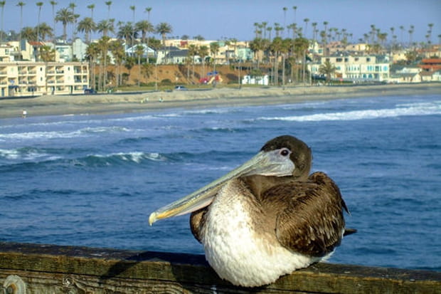 La côte californienne
