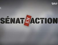 Sénat en action : Délinquants mineurs : derrière les murs