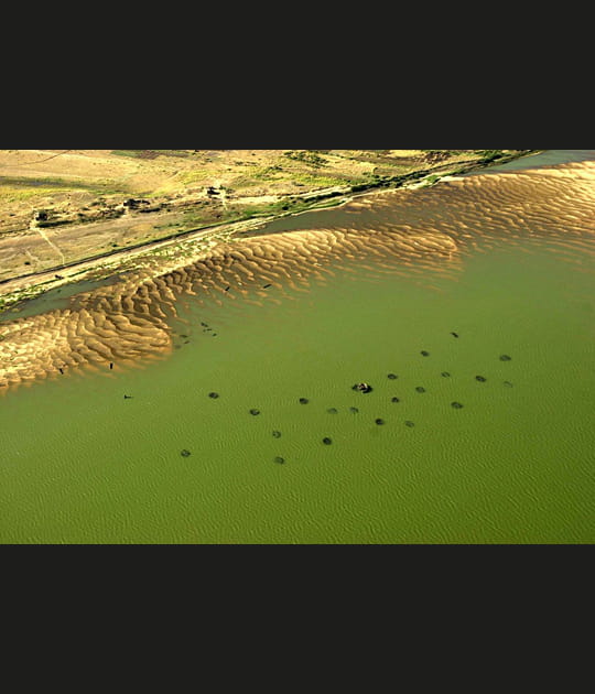 Lac Tchad