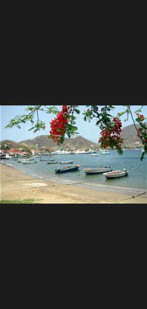 6e&nbsp;-&nbsp;DOM&nbsp;: 71&nbsp;&euro;&nbsp;/&nbsp;m&sup2;