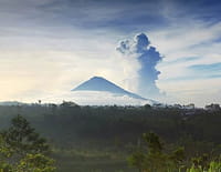 Chacun son île : Bali