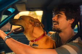 Caramelo&nbsp;: l'histoire d'amiti&eacute; &eacute;mouvante entre un jeune chef br&eacute;silien malade et son chien sur Netflix