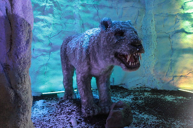 Dinosaures, animaux et hommes préhistoriques plus vrais que nature