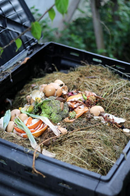 R&eacute;solution 9&nbsp;: en 2024, on utilise un compost pour recycler les d&eacute;chets. Nos conseils