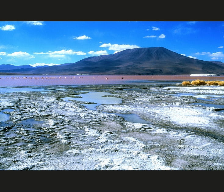 Merveilleuse Laguna Colorada