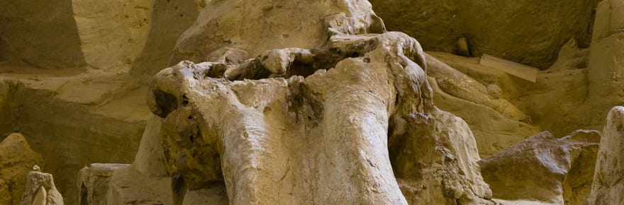 Des os de cyclopes trouv&eacute;s il y a 2000&nbsp;ans&nbsp;? Les Grecs ont fait une découverte qui a changé le monde