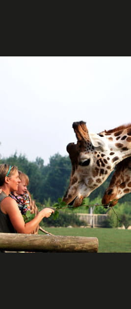 Parc zoologique CERZA &agrave; Lisieux, Calvados