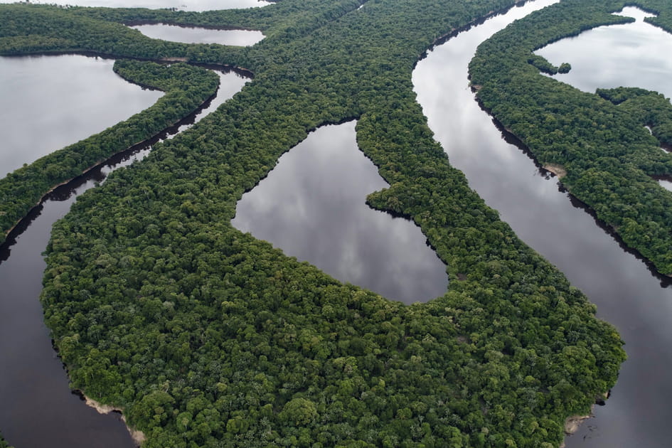Au bord du Rio Negro en Amazonie