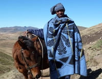 Les fiers cavaliers du Lesotho