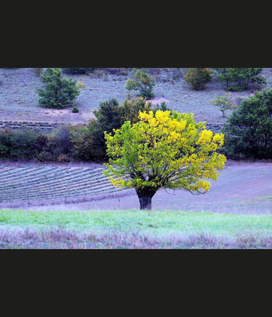 Campagne automnale