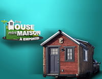Tiny House : mini-maison à emporter : La vie en violet