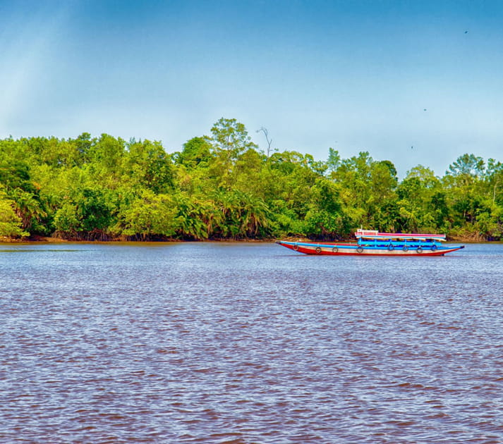 &Eacute;cotourisme au Suriname
