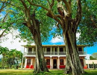 La Martinique, terre de rhum