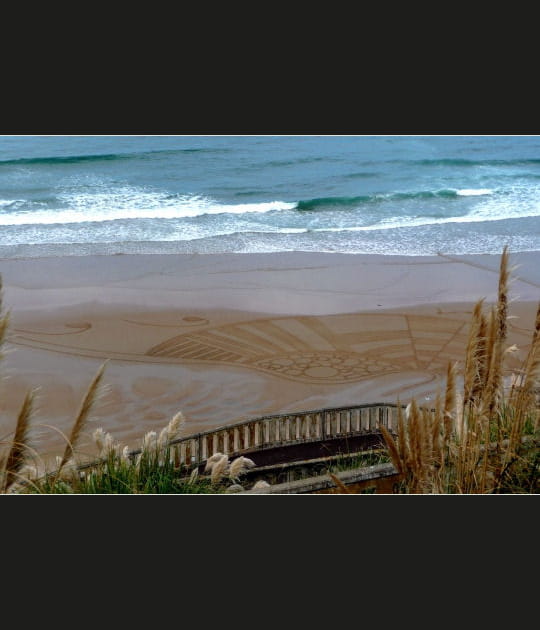 &quot;Crop Circle&quot; de plage