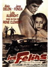 Les Félins