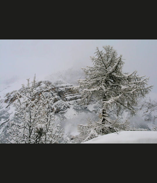 Vers les montagnes enneig&eacute;es