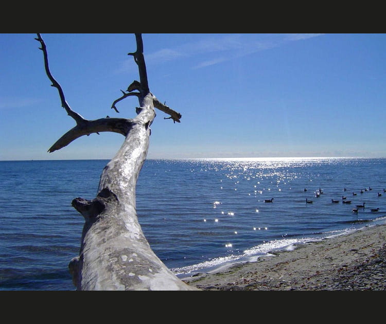 Le lac Ontario &agrave; l'infini