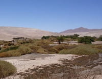 Déserts : Le désert d'Atacama