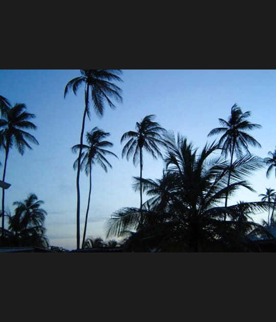 Paysages du Venezuela