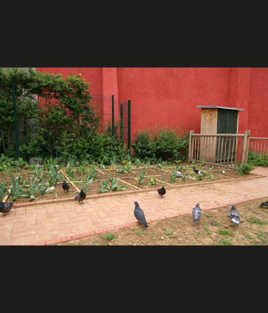 Le monde v&eacute;g&eacute;tal