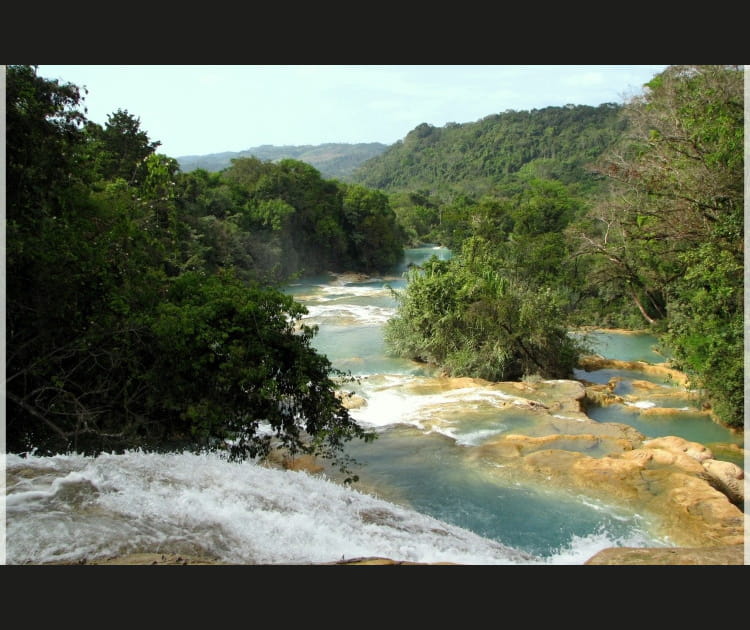 Palenque, un site naturel