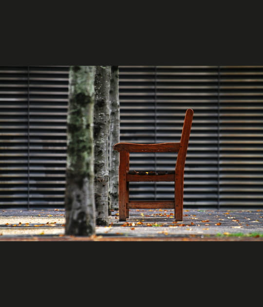 Banc solitaire n&deg;19