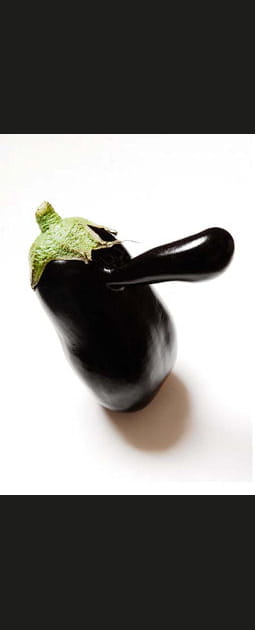 Le nez de l'aubergine