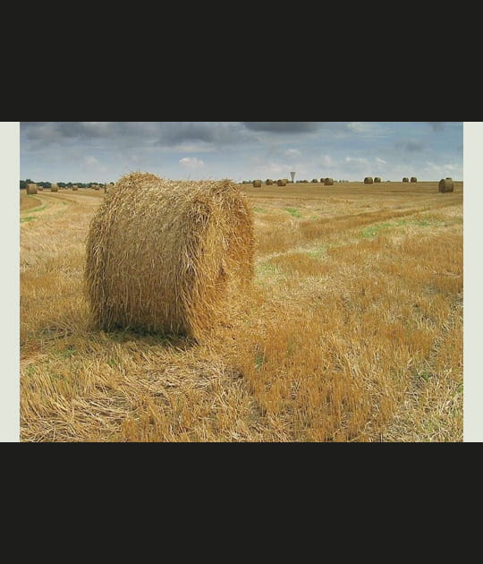 Botte de paille