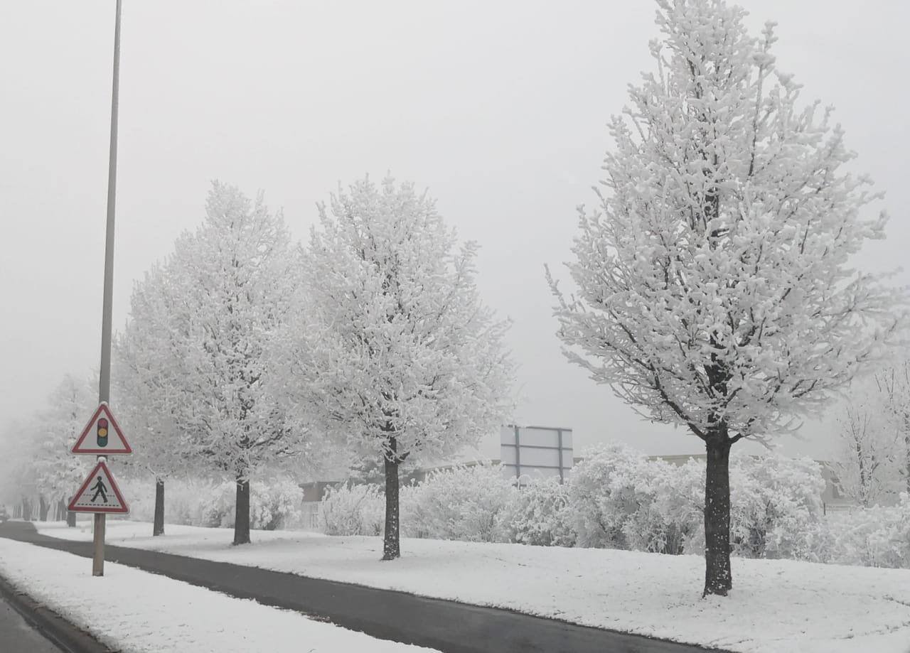 Neige en France : Normandie, Paris, Auvergne... Voici où les flocons arrivent selon les prévisions météo