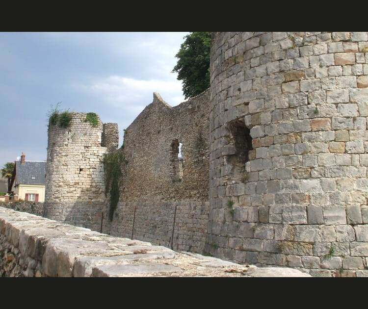 Ch&acirc;teau de Dourdan, Essonne