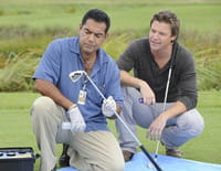 The Glades : Le parcours idéal