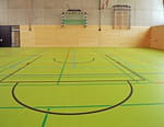 Handball : Ligue des Champions