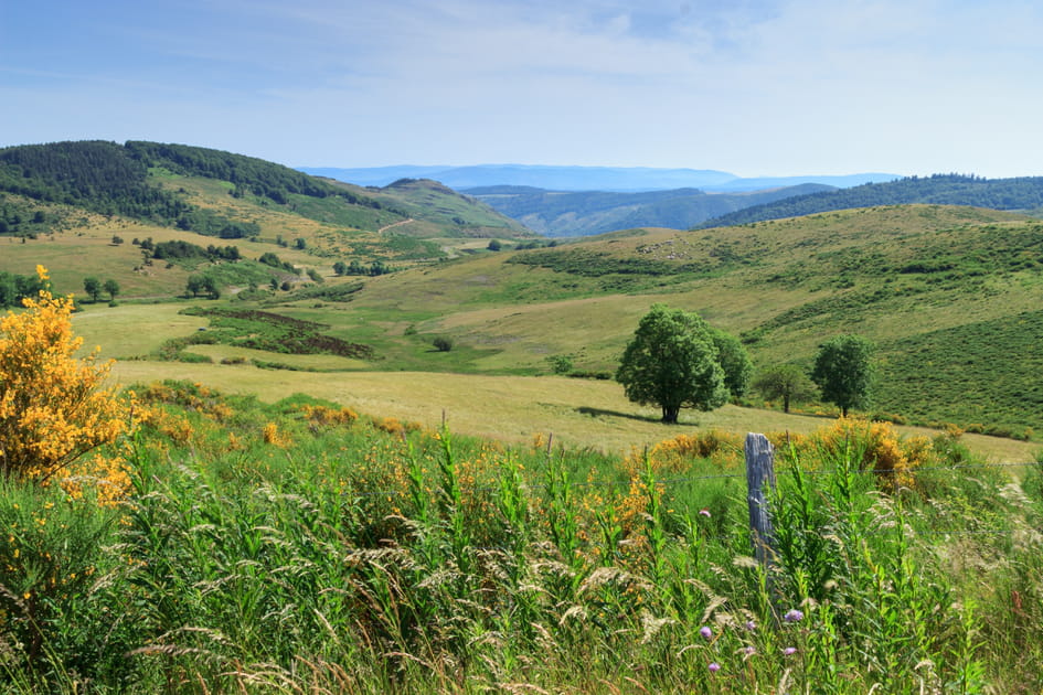 Le mont Aigoual