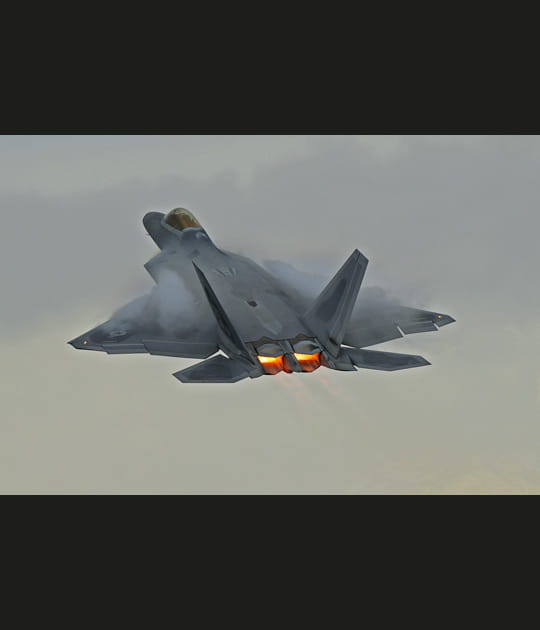 Le rapace se cabre