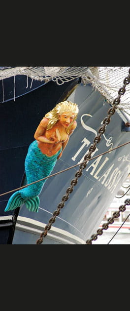 La fameuse sir&egrave;ne