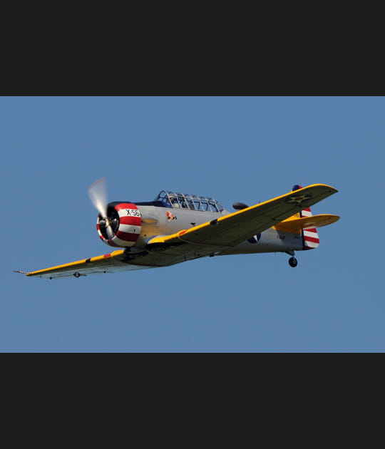 Warbird &quot;premier prix&quot;, mais&nbsp;sensations&nbsp;garanties