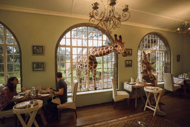Le manoir des girafes à Nairobi (Kenya)