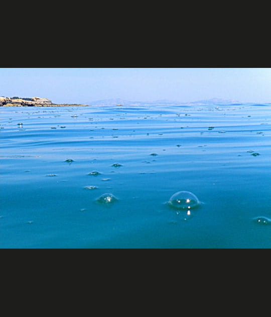 Les petites bulles...