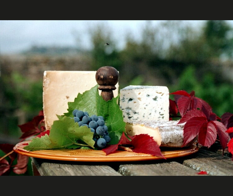 En Auvergne, sur la Route des fromages