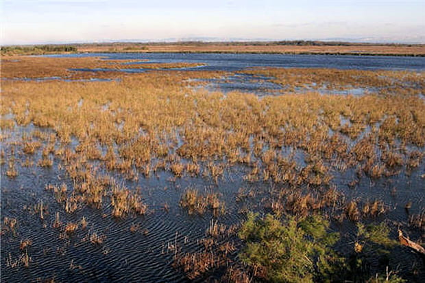 Mille hectares de nature