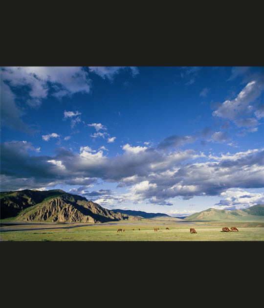 Mongolie, l'appel des grands espaces